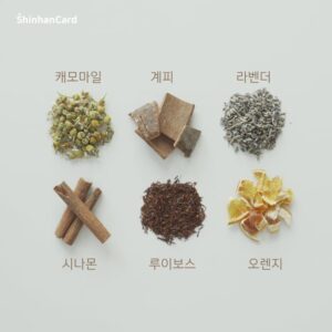 엑스컴 포트폴리오: 신한카드 SNS 마케팅 영상 블랜딩티 만들기